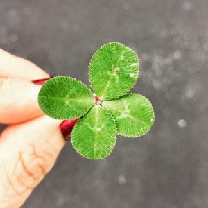 4-leaved green clover