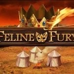 Feline Fury slot