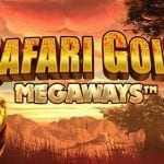 Safari Gold slot